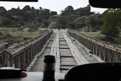 DSC_3066 (Large).JPG